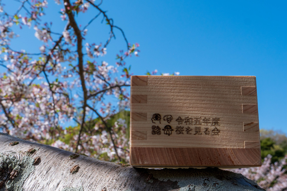 令和五年度合同お花見会を開催しました